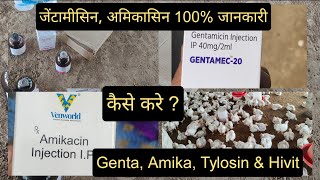 Genta Amikacin Injection for Poultry  इंजेक्शन की डोज़ कैसे बनाएं  Tylosin For Broiler [upl. by Aulea665]