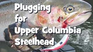 Plugging for Upper Columbia Steelhead [upl. by Stoller]