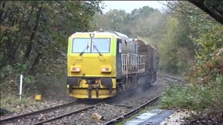 MidCheshire Line RHTT at Mouldsworth amp Delamere 29102024 [upl. by Adnolaj116]