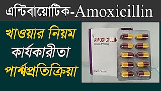 Amoxicillin 500 এর কাজ কি  amoxicillin 500 mg capsule bangla  Amoxicillin review in bangla [upl. by Nido]