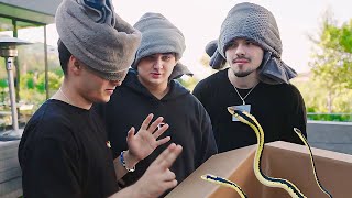 What’s In The Box Challenge With FaZe Clan [upl. by Walczak901]