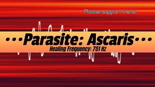 Parasite Ascaris Healing Frequency 751 Hz [upl. by Nolan677]