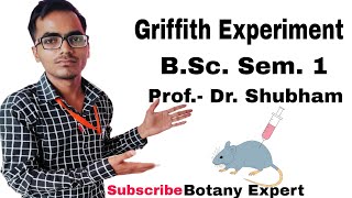 Griffith experiment mice injection trending bsc griffith experiment viralvideo science [upl. by Camilla]