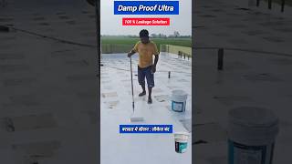 Ultimate Solution for Tile Leakage Asian Paints SmartCare Damp Proof Ultra with Tile Primer punjab [upl. by Caye]