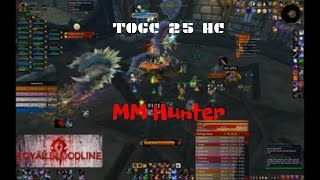 World Of Warcraft  Guild Royal Bloodline  TOGC 25 man MM Hunter POV [upl. by Jak]