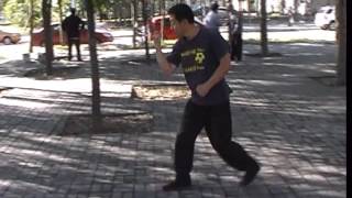 Hebei style Xing yi Quan， Splitting and drilling fist variants [upl. by Heriberto]