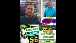 HIPISMO PROFESIONAL DOMINGO 1102 24 [upl. by Silber]