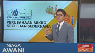 Niaga AWANI Data amp Statistik Banci Ekonomi 2023 Perusahaan Mikro Kecil dan Sederhana [upl. by Annoyk]