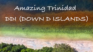 A TOUR OF TRINIDADS INCREDIBLE DDI PARADISE  SCOTLAND BAY  CHACACHACARE  MONOS amp GASPAREE [upl. by Ahmar328]