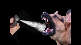 Proper Use of Pepper Spray Against a Charging Dog [upl. by Neela76]