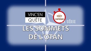 Une minute pour comprendre 32  Les sommets de lOTAN [upl. by Nirrok]