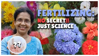 How to Fertilize Flowering Plants  Science of Fertilizing Plants [upl. by Milas]