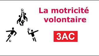 La motricité volontaire  3AC  SVT [upl. by Linoel]