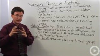 Darwins Theory of Evolution [upl. by Theron]