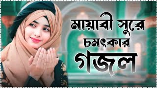 মায়াবী সুরে চমৎকার নতুন বাংলা গজল ২০২৪ new Islamic Bangla gojol Shilpi Saifuddin ameni ghazal [upl. by Agata]