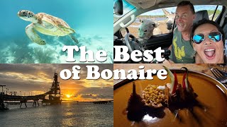 The Best Of Bonaire  7 INCREDIBLE days on this AMAZING island [upl. by Edita]