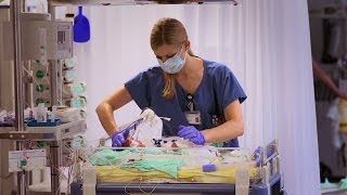 Dipl Pflegefachfrau 90  100 DN II HF FH für die Klinik für Neonatologie [upl. by Hogan]