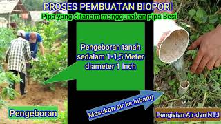 TUTORIAL MEMBUAT TANAMAN BERBUAH TERUS DILUAR MUSIM [upl. by Nojid]