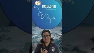 Melatonin Hormon Ajaib Untuk Tidur [upl. by Norabel685]