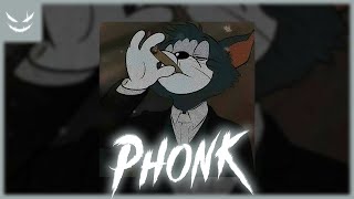 1 Hour Brazilian Phonk ♆ Best Hard Brazilian Phonk ♆ Фонк 2024 038 [upl. by Oelc]