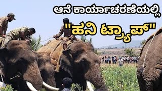 quotಹನಿ ಟ್ರ್ಯಾಪ್quot ಮೂಲಕ ಆನೆ ಸೆರೆ ಕಾರ್ಯಚರಣೆ  Elephant Captured trough quotHoneyTrapquot  PAVANS INFO SYSTEM [upl. by Akihc]