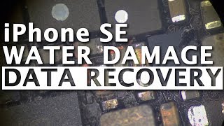 iPhone SE  Water Damage Data Recovery [upl. by Yrelle]