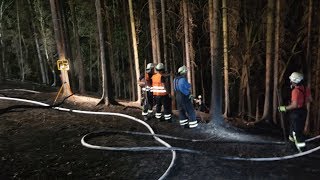 Waldbrand bei Baunatal  Feuerwehr im Großeinsatz  30072018 [upl. by Shirah]