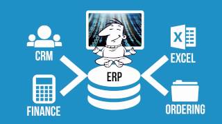 What is ERP software [upl. by Nonnek470]