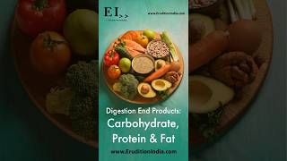 Digestion End Products Carbohydrate Protein Fat Shorts VerticalVideo [upl. by Aiek]