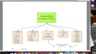 Leukocytosis and Leukopenia [upl. by Aehsat]