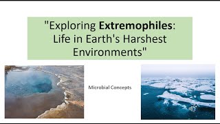 Exploring Extremophiles Life in Earths Harshest Environments  MSc microbiology  Practical [upl. by Airtina662]