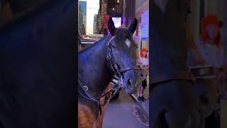 The New York City Police Department NYPD Mounted Unit  Times Square NYC [upl. by Kern582]