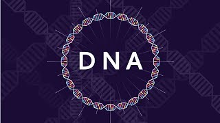 What is DNA and How Does it Work  Basics of DNA [upl. by Calysta]