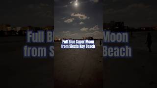 Full Blue Super Moon from Siesta Key Beach siestakeybeach siesta key florida [upl. by Coppola]