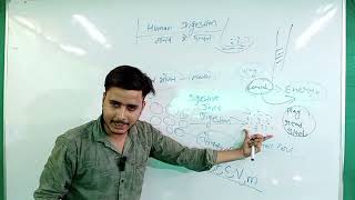 General science  Digestive system  In Hindi  by Avinash sir [upl. by Aicilaana]