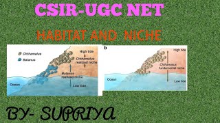 habitat and niche  fundamental niche vs realized niche  csir net life science [upl. by Anigal206]