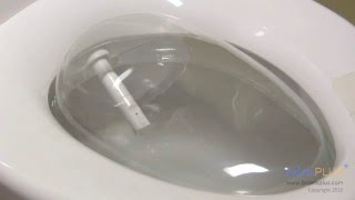 How Does a Bidet Work  bidetsPLUScom [upl. by Wemolohtrab]