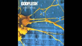 Godflesh  Go Spread Your Wings [upl. by Suoilenroc]