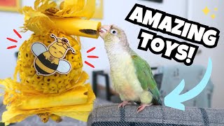 Toys for Parrots  Your Bird NEEDS Sola  Feather Beautiful Toy Haul and Review  BirdNerdSophie AD [upl. by Aerdna]