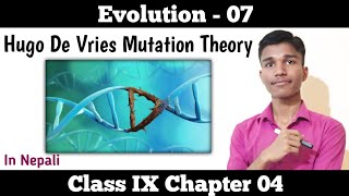 Hugo de Vries Mutation Theory  evolution part 7 guru sciency  Class 9 science chapter 4 in nepali [upl. by Ahtela846]