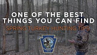 Spring Turkey Hunting Tips One of the best things you can find [upl. by Coe]