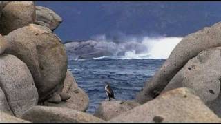 Trauminseln im Mittelmeer  Der Naturpark zwischen Korsika und Sardinien 13 [upl. by Aihsele]