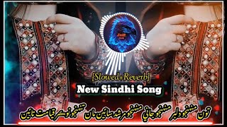 ToMuhnjoDilberMahnjoJaniMahnjoMurshidSain  New Sindhi TikTok trending song [upl. by Nylzaj82]