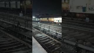 14208 Padmavat Express with Tejas WAP5 youtubeshorts shortsfeed shortvideo shorts short [upl. by Acireed]