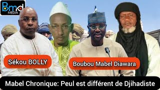 Mabel Chronique peul est différent de djihadiste [upl. by Haidej]