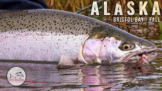 Fall in Alaska Trout Spey Fly Fishing on Bristol Bays Kvichak River by Todd Moen [upl. by Atiuqrahc]