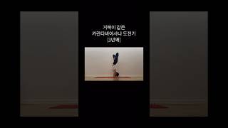 카란다바아사나 karandavasana ashtanga yoaga [upl. by Idnic]