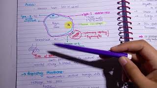 Respiratory Membrane l Alveolar Ventilation l Easy Explanation [upl. by Levana124]