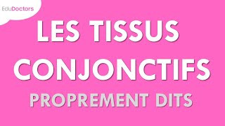 Les tissus conjonctifs proprement dits  Histologie [upl. by Ardnuaek]