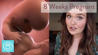 8 Weeks Pregnant What You Need To Know  Channel Mum [upl. by Schaumberger971]